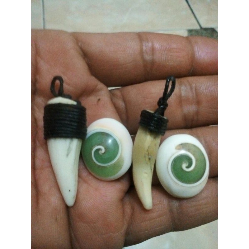 LIONTIN TARING/GIGI BUAYA 100% ORIGINAL