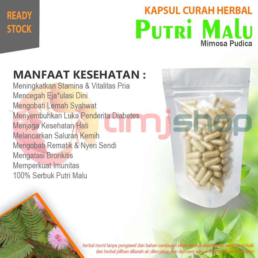 

KAPSUL CURAH HERBAL PUTRI MALU