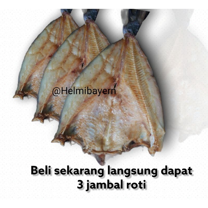 

Asin jambal roti utuh daging tebal asli Pangandaran dapat 3 ikan jambal