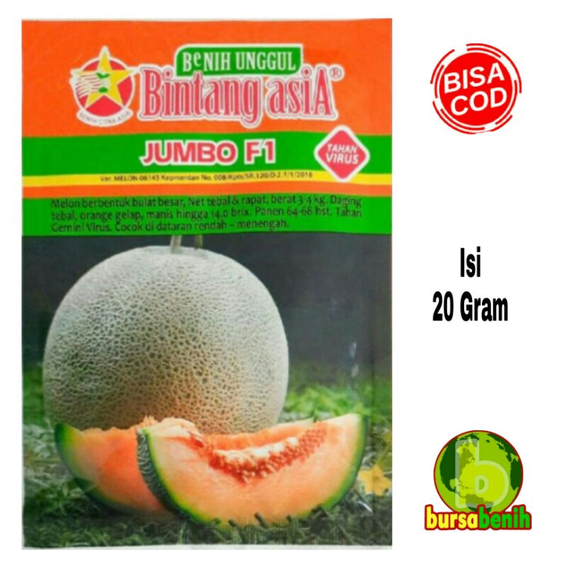 Benih Melon Hibrida JUMBO F1 Isi 20 gram / Bibit Melon Kuning