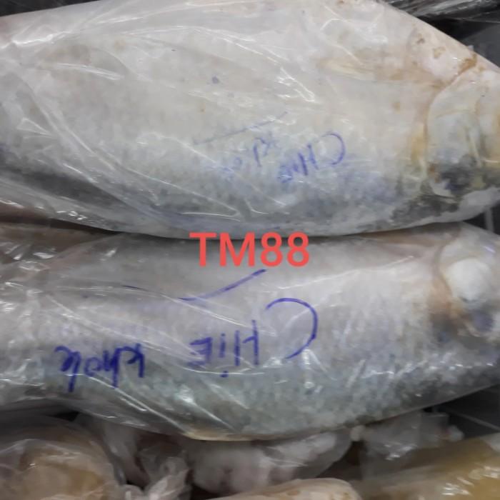 

Makanan Beku | Ikan Terubuk/Ikan Chi Khak