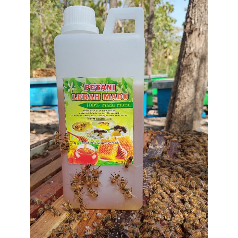 

COD.MADU ASLI 1 kg BUNGA RANDU madu murni PETANI LEBAH MADU