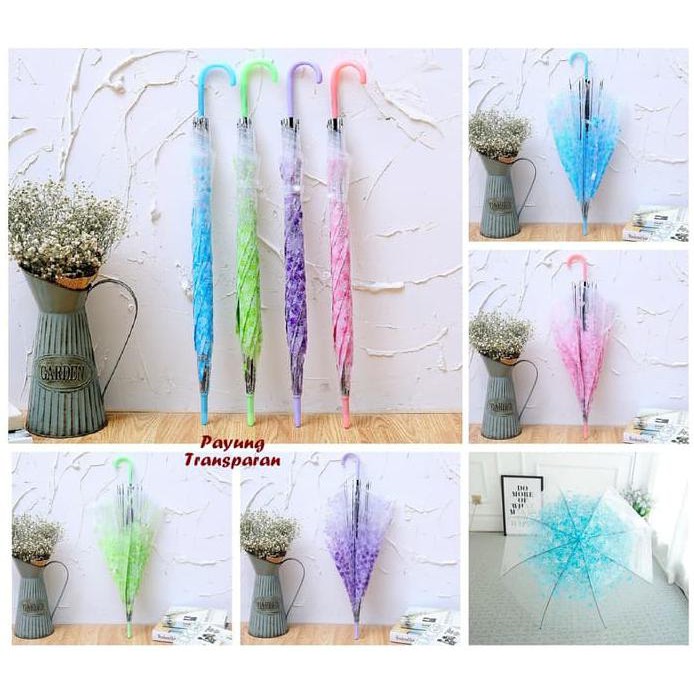 Payung Transparan Motif Sakura Payung Keren Model Transparan