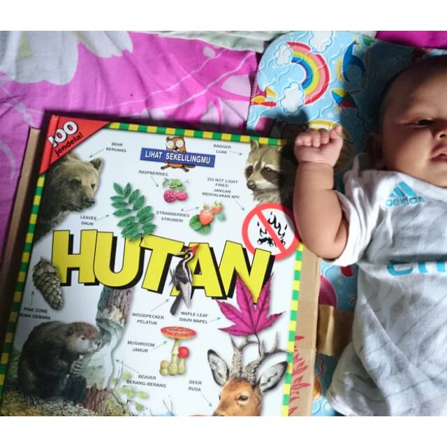 Preloved Buku 100 Jendela HUTAN/Buku cerita anak