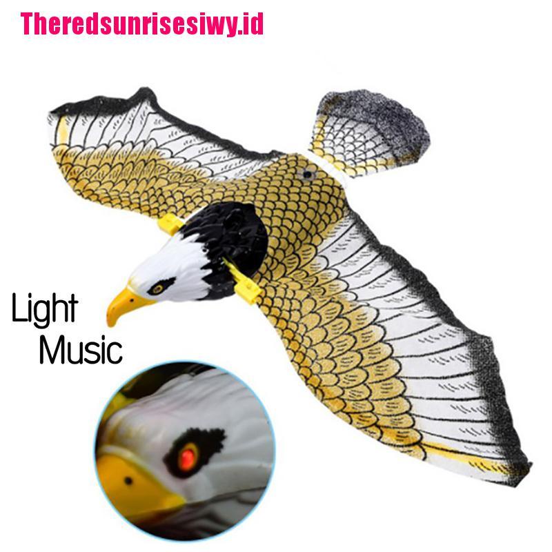 Burung Elang Terbang Luminous Dengan Musik Untuk Pengusir Burung