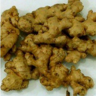 

Jahe Emprit Segar/Jahe Sunti 500gr