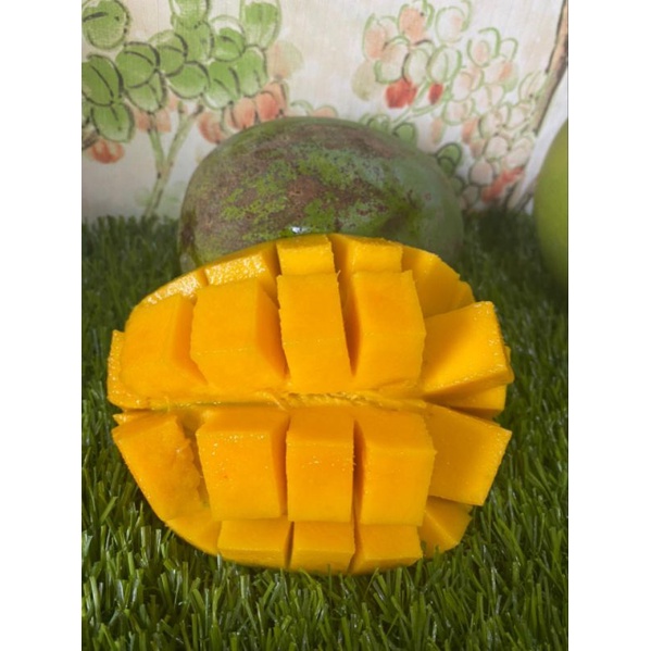 

Mangga harumanis|buah segar bandung|nuri fruits|mangga|mangga harum|500gram