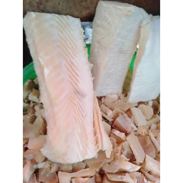 

ikan cucut 250 gram