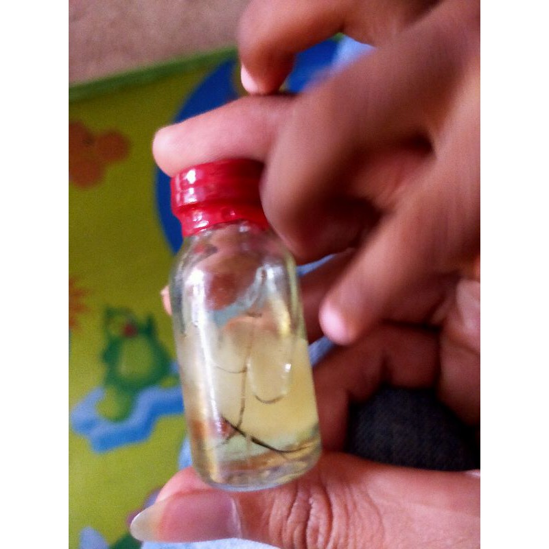 

herbal asli BIAK Nurfam papua