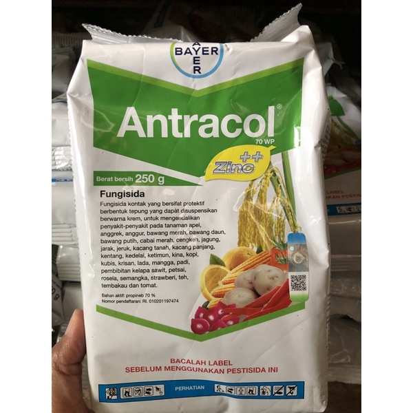 FUNGISIDA ANTRACOL 250gr