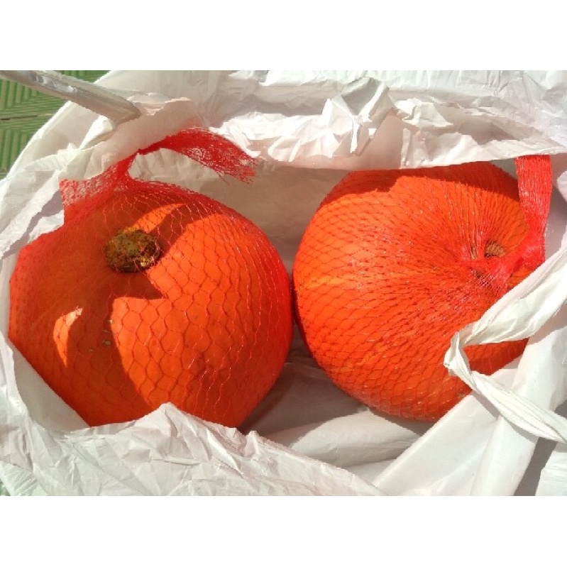 

pumpkin segar 1kg