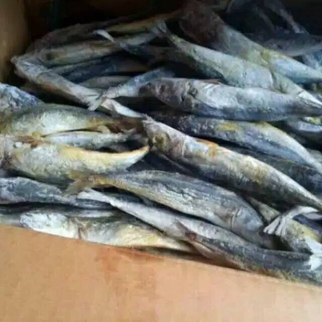 

Klotok ikan asin 250grm