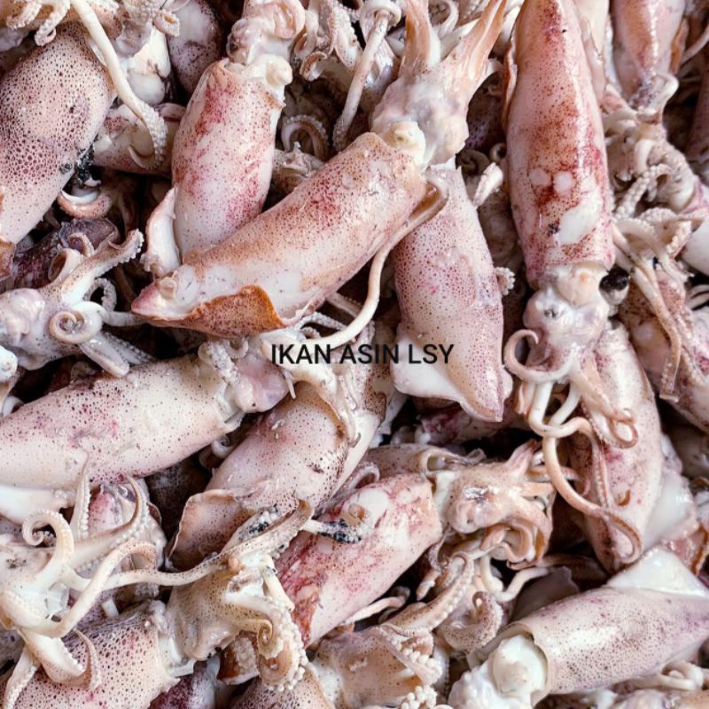 

Terlaris! ikan asin cumi rebus/sotong rebus size jumbo gr