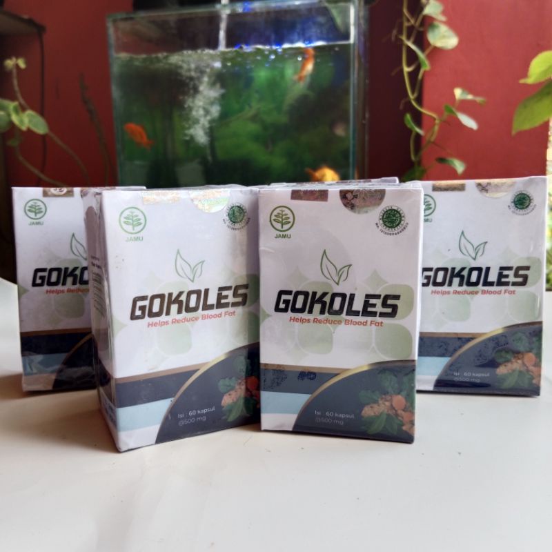 GOKOLES obat HERBAL, obat KOLESTEROL