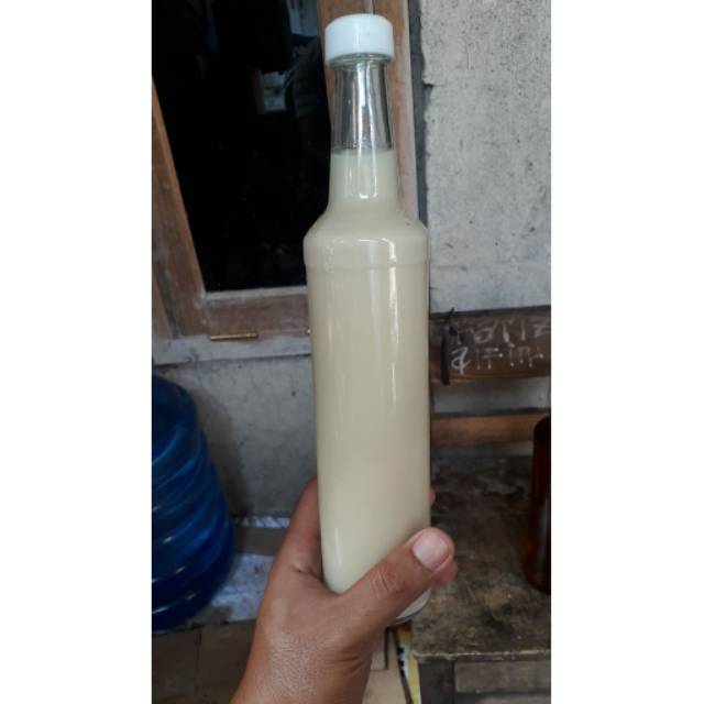 

Madu royal jelly(murni bergaransi)