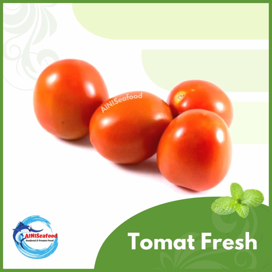 

Tomat Sayur Sayuran Segar Tomat Lokal Fresh Vegetable Tomatoes
