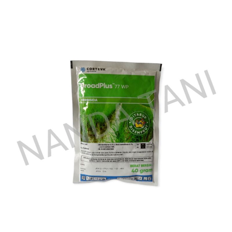broadplus 77 wp