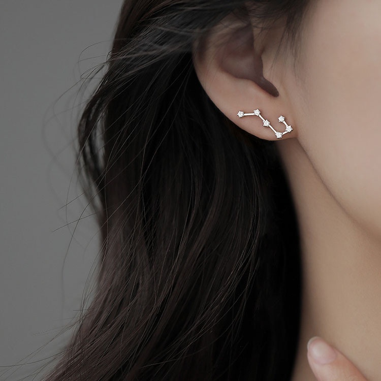 Anting Stud 925 Sterling Silver Model Rumbai Panjang Untuk Wanita