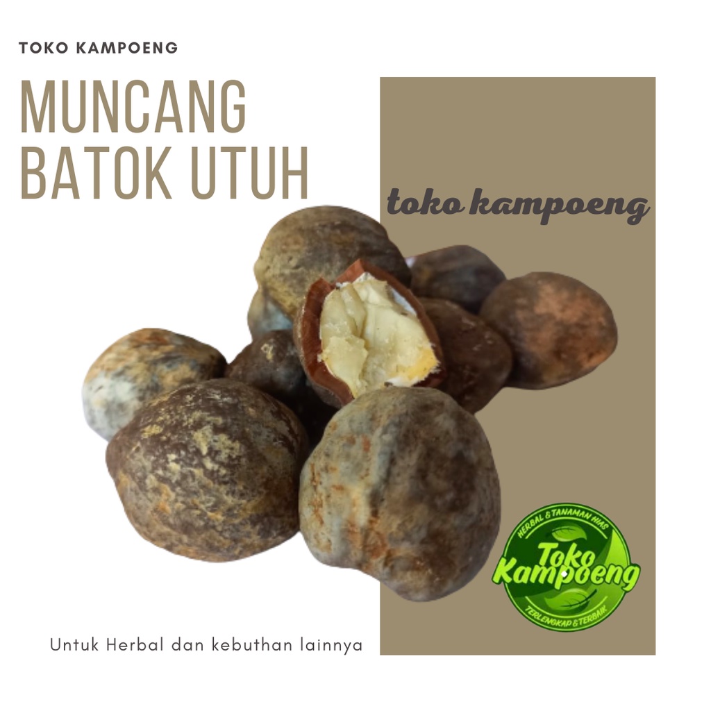 

1Kg Herbal Muncang Batok utuh - Biji Kemiri Utuh - Batok Tebal