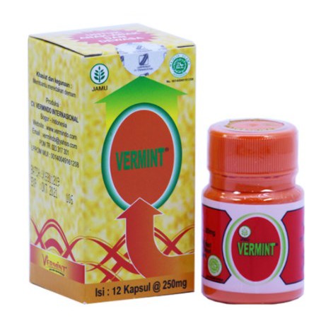 vermint kapsul cacing /ektrak cacing untuk panas deman tifus tipes tipoid fermin vermino tilung