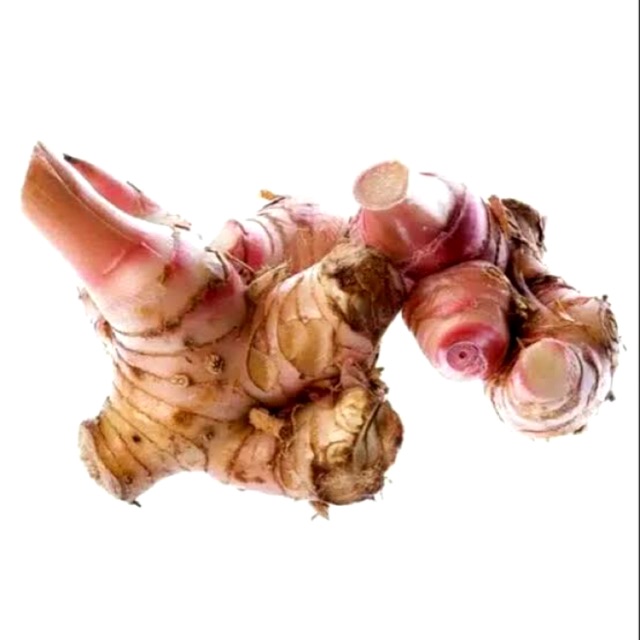 

Lengkuas bumbu dapur laja 250gram - 500gram