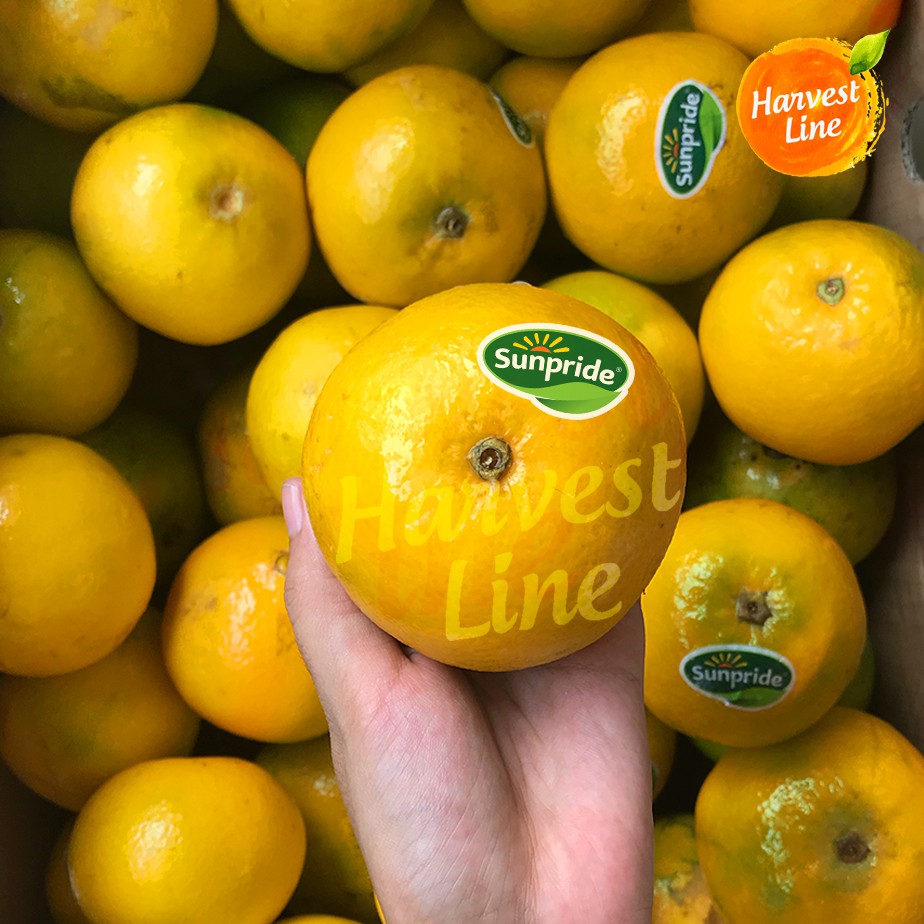 Jeruk Baby Peras Sunpride