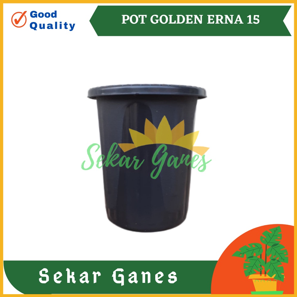 Pot GE15 Golden Erna 15 Putih Bening Transparan Hitam Merah Bata Coklat Terracota Terracotta Garden Of Love Mirip Pot Yogap Ypt 10 13 15 Putih Coklat Merah Bata Bening Transparan Pot Yogap 17 18 19 Pot Yogap Murah Pot Bunga Tinggi Pirus Tegak Bagus Tebal