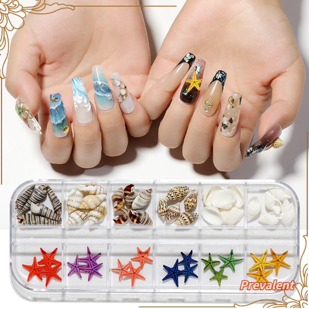 Hiasan Kuku Bentuk Bintang Lautkerang Abaloneberlian Imitasi Untuk Dekorasi Nail Art