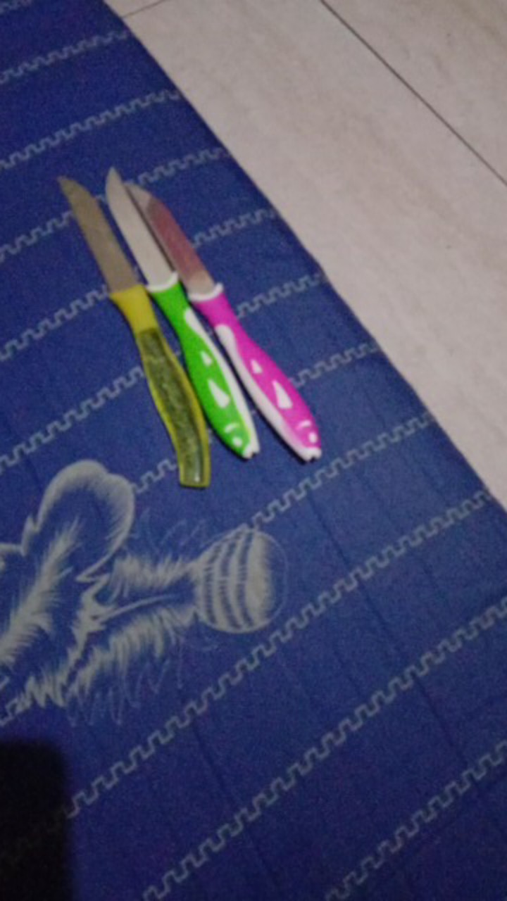 Pisau Dapur/pisau Buah Mini/souvenir Pisau Isi 12pisc/pisau Kecil