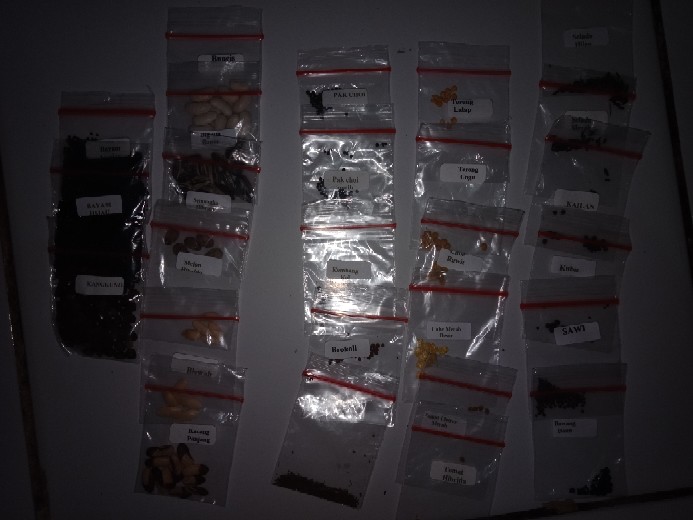 Paket Hemat Berkebun 25 Jenis Sayur Dan Buah