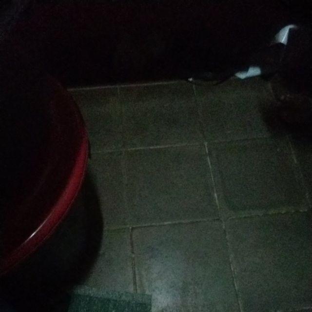 Kamper Unicorn Warna