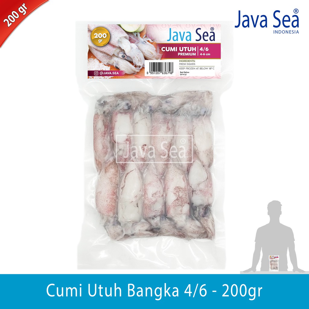 

Cumi Utuh 4/6 pack 200gr Java Sea