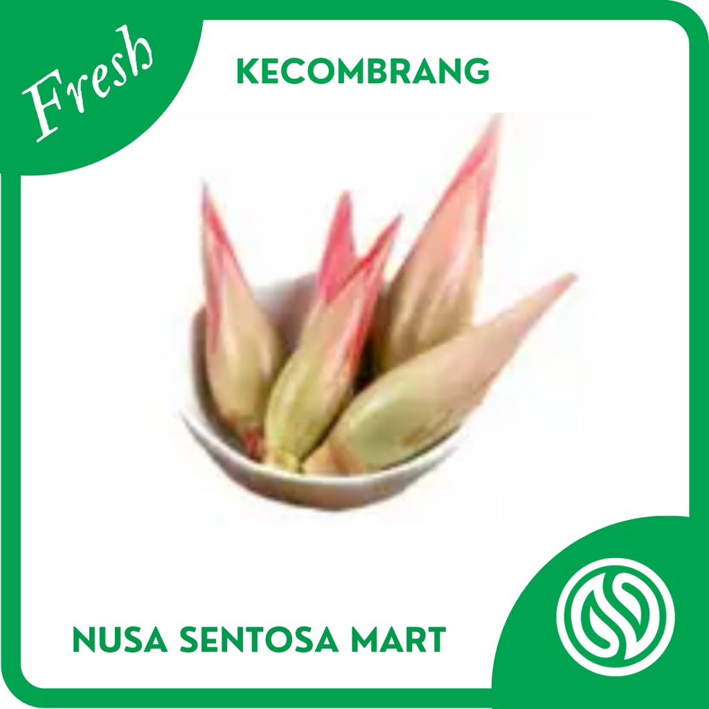

Kecombrang Kecomrang Segar – Per Buah