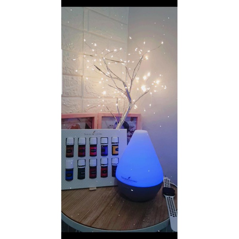 Diffuser YOUNG LIVING