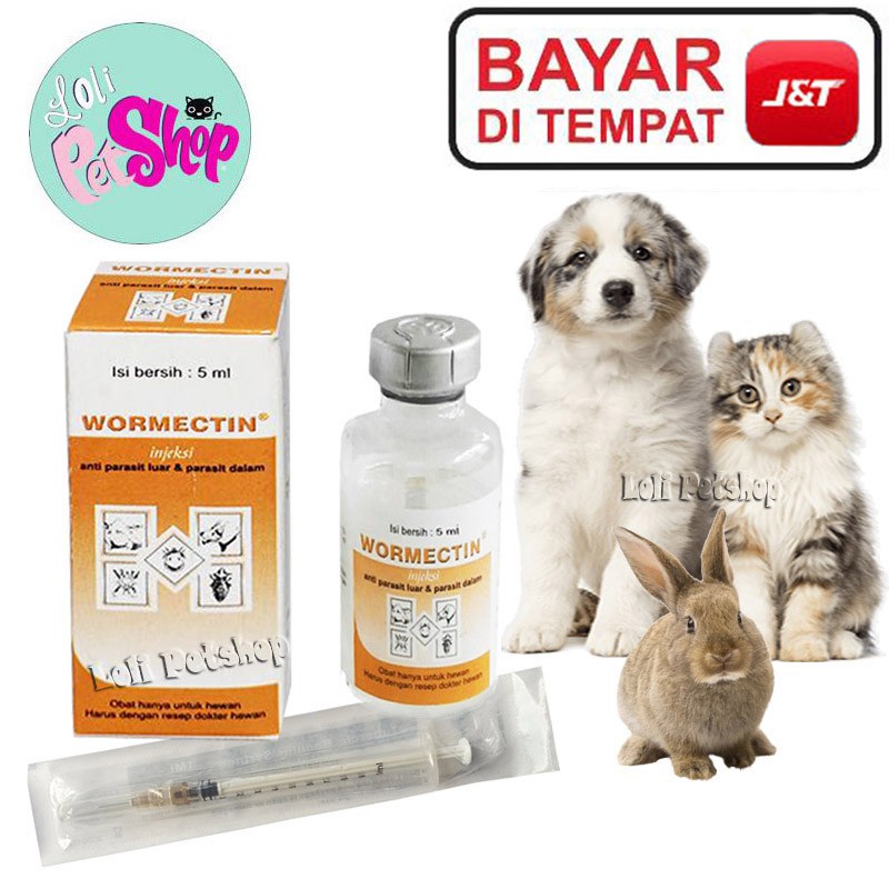 OBAT JAMUR SCABIES KORENG KUCING ANJING KELINCI INJEKSI WORMECTIN 5ml