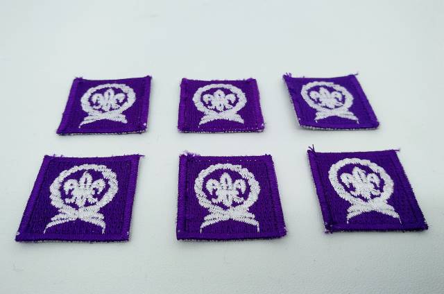 Tanda Pandu Pramuka Badge Wosm Pramuka