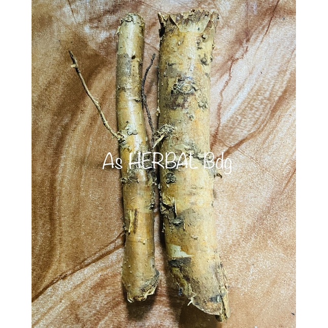 

Akar durian segar / akar pohon durian 250 gram-az