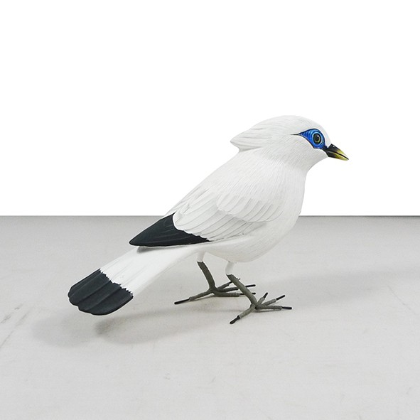 430 Koleksi Gambar Burung Jalak Bali Terbaru