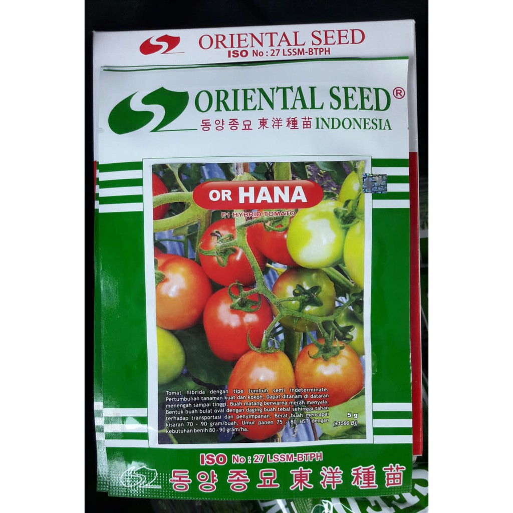BENIH TOMAT OR HANA DARI ORIENTAL SEED