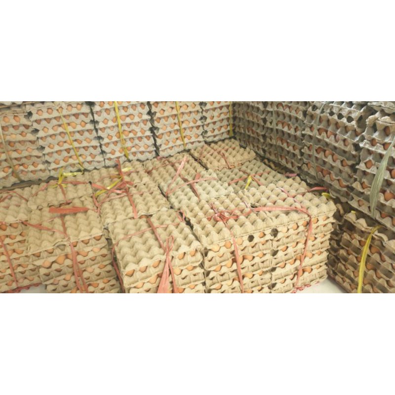 

RB TELUR AYAM NEGRI 15 KG KULIT COKELAT FRESH DARI FARM