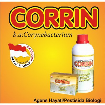 Corrin Pestisida Penyakit Blast Kresek & Jamur