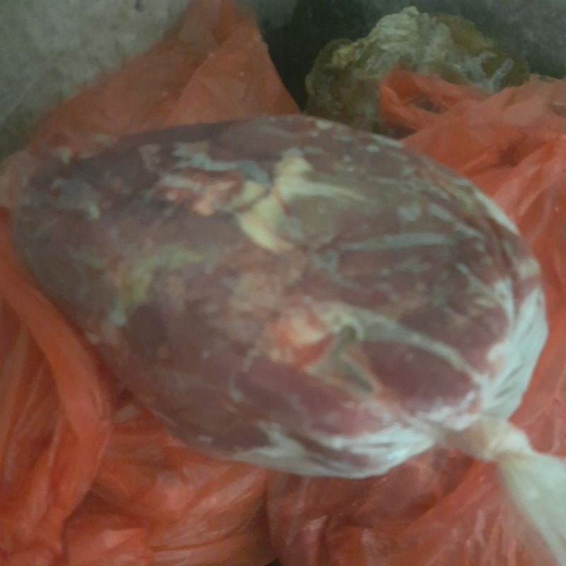 

daging kambing