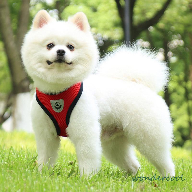 Pet Chest Back Leash Mesh Strip Reflektif Crossing Road Perlengkapan Hewan Peliharaan tahan aus-Won