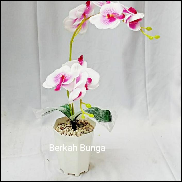 Anggrek Artificial- Anggrek Plastik- Anggrek Murah- Anggrek Bohong