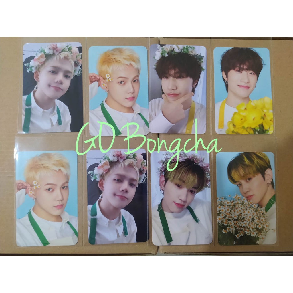 BINDER DAN TINCASE BLOOMING TREASURE