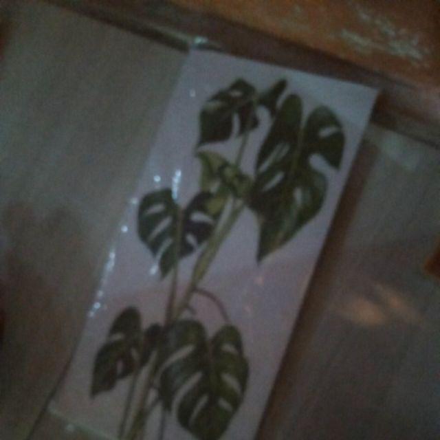 Walldecoraret1a_tmm-6