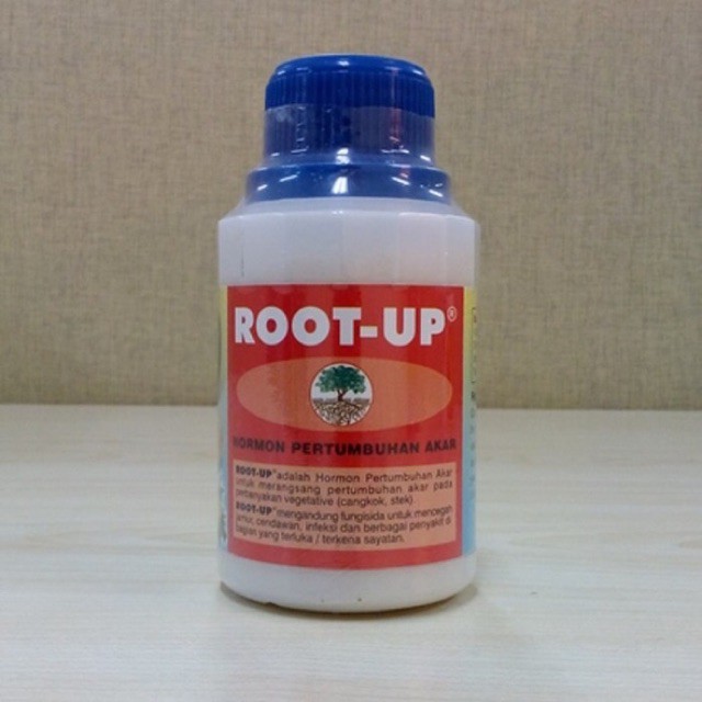 Root Up, hormon pertumbuhan akar