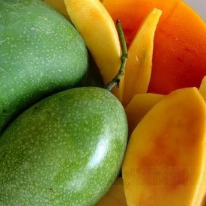 bibit mangga madu paket 2 biji