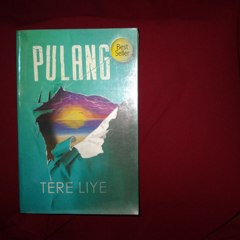 Tere Liye - Pulang (Preloved)