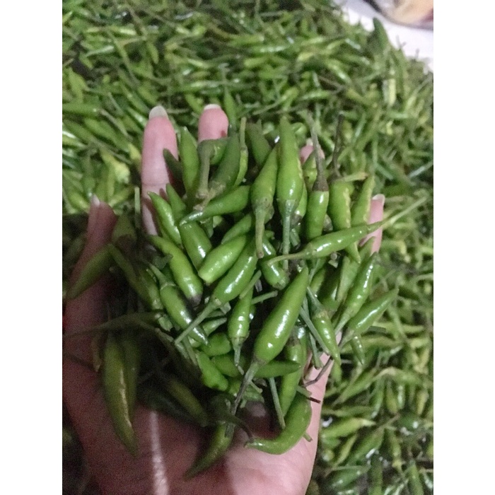 

sambal-aneka- cabe rawit hijau caplak - 500gram -aneka-sambal.